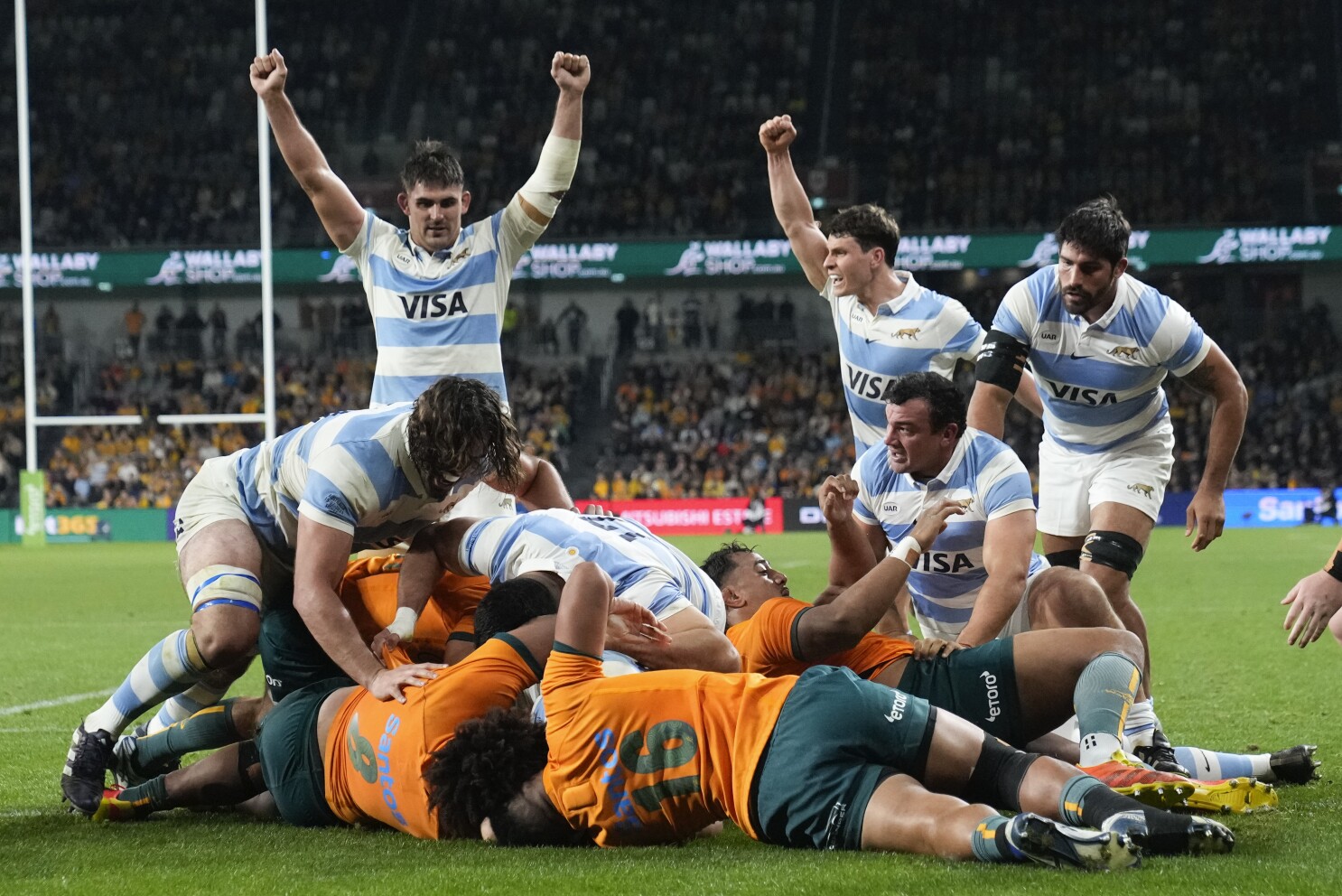 Rugby championship los pumas new arrivals